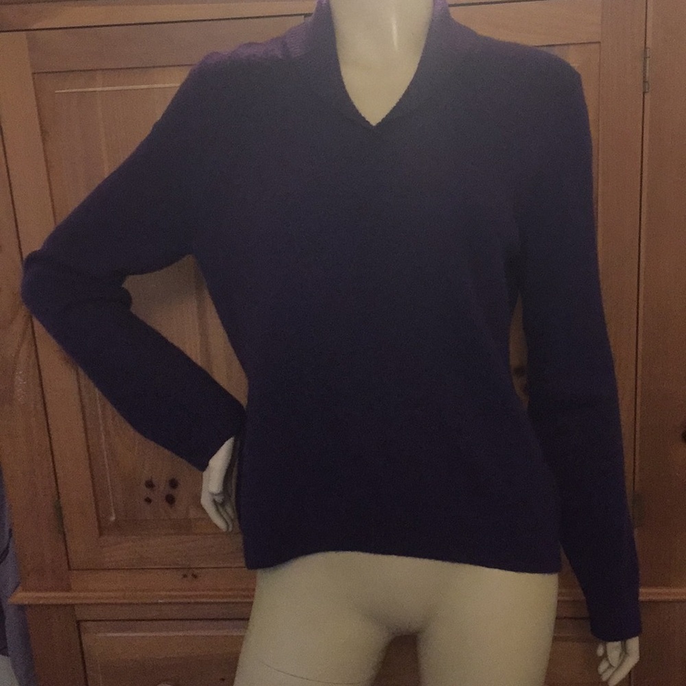 Privé Cashmere Sweater V Neck Royal Purple